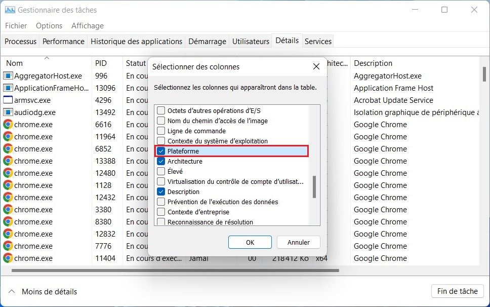 Cochez l'option Plateforme